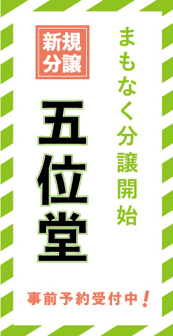 五位堂モデルハウス