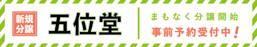 五位堂モデルハウス